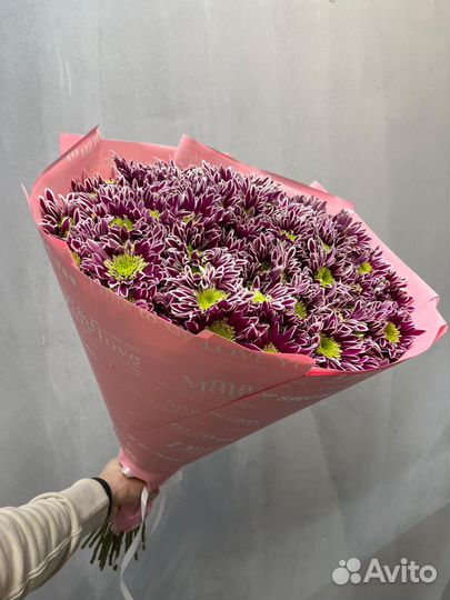 Кустовая Хризантема Букеты