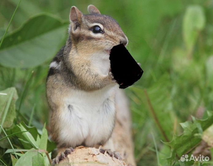 Кондиционеры новые Faura Dantex gree neoclima