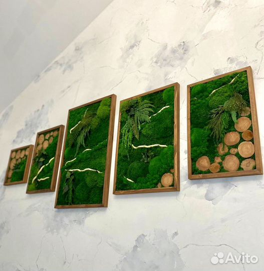 Вертикальное озеленение. Мох. Живая стена