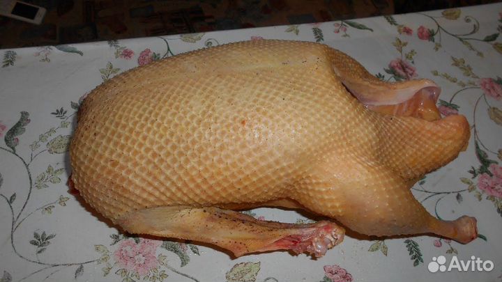 Потрох куриный(сердце,печень,желудочки)