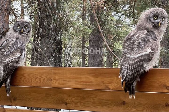 Дом 86,4 м² на участке 19 сот.