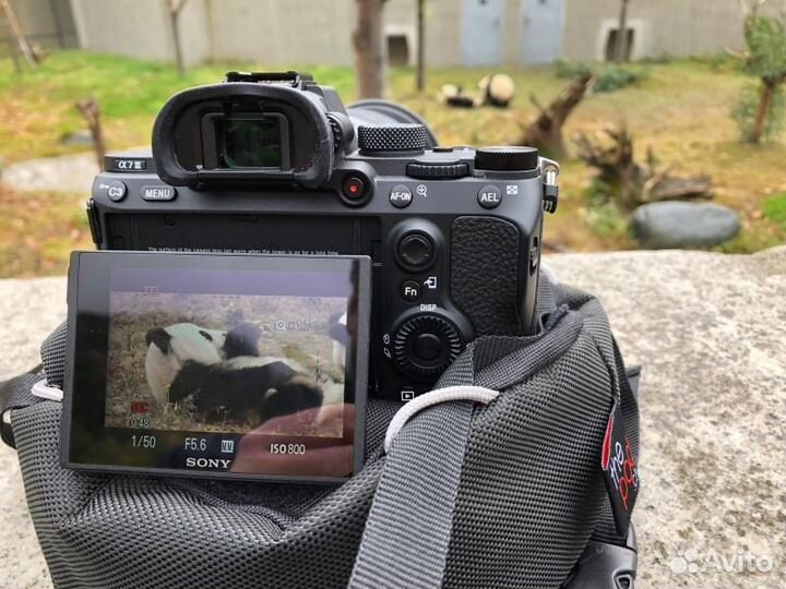 Фотоаппарат Sony A 7 M III body