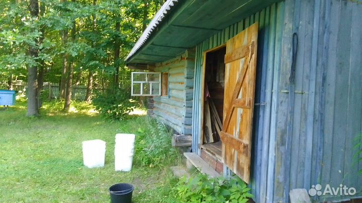 Липовый мед Чувашии, продукты пчеловодства