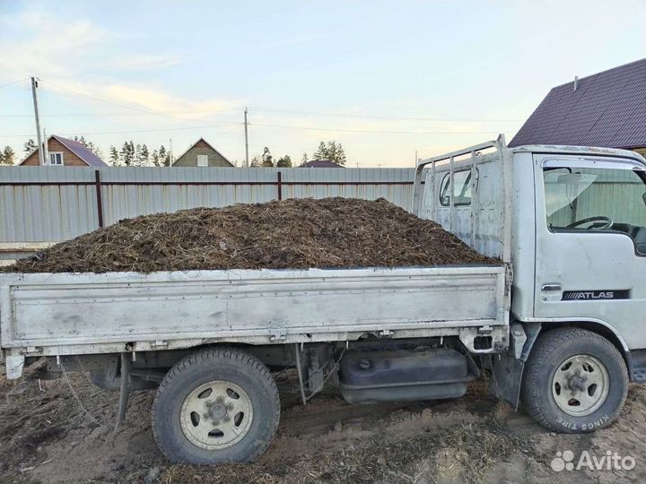 Растения стройматериал