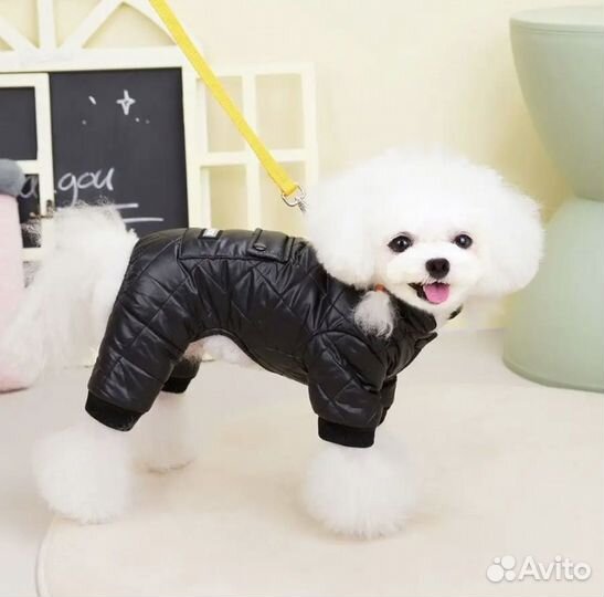 Комбинезон для собаки