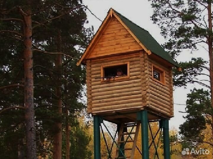 Охота на кабана