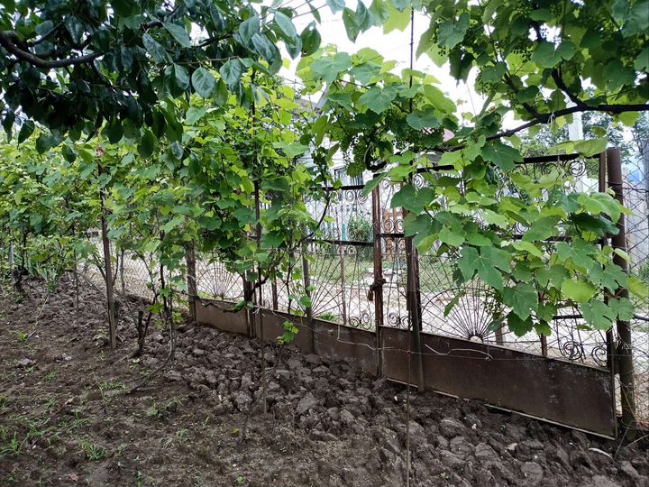 Участок 8 сот. (СНТ, ДНП)