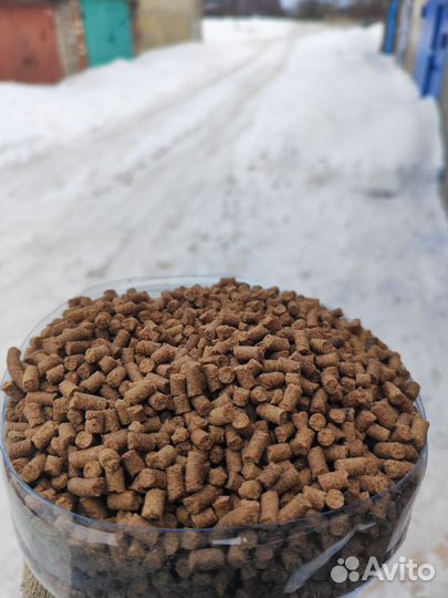 Сухой корм для кошек