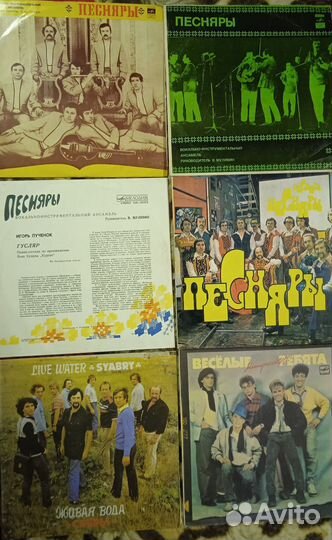 Песняры, Верасы, Весёлые ребята, Синяя птица, Лоза