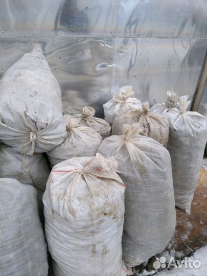 Конский навоз