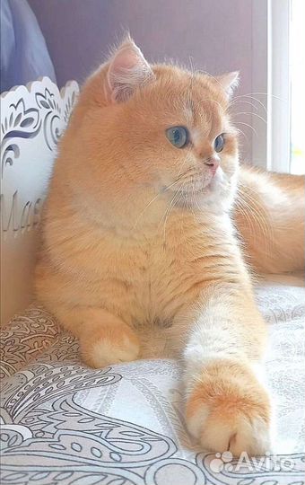 Вязка
