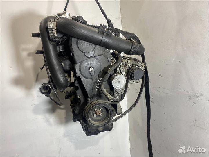 Двигатель BXE Volkswagen Passat B6 1.9 TDI
