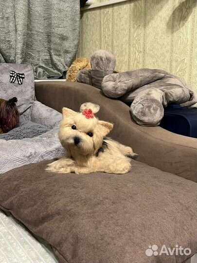 Йоркширский терьер валенный из шерсти