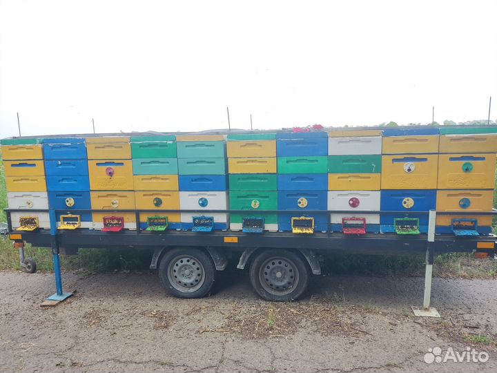 Прицеп пчеловодческий на 20 семей