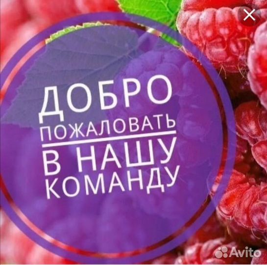 Продавец в новый магазин
