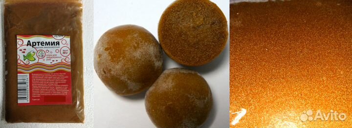 Корма с/м для морских и пресноводных рыб