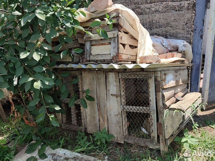 Продам кролики и клетки