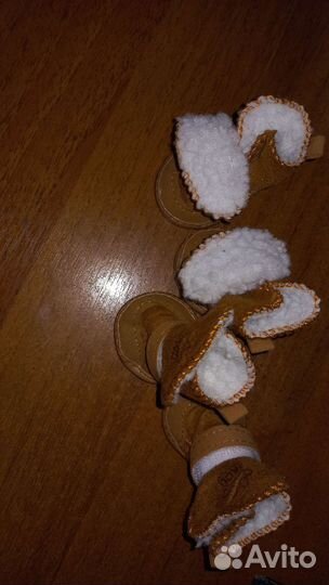 Обувь для маленьких собак