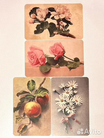 Почтовые карточки, открытки