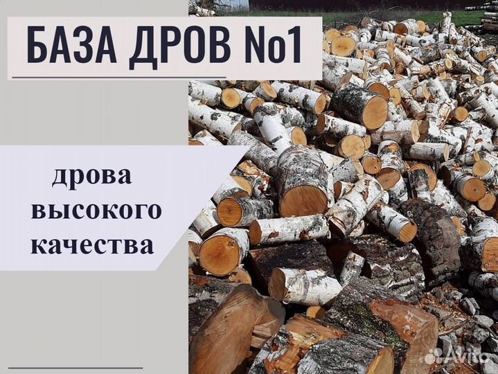 Дрова березовые