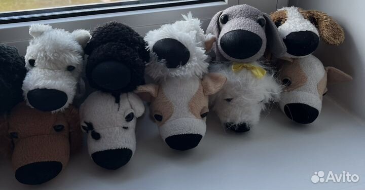 The dog collection