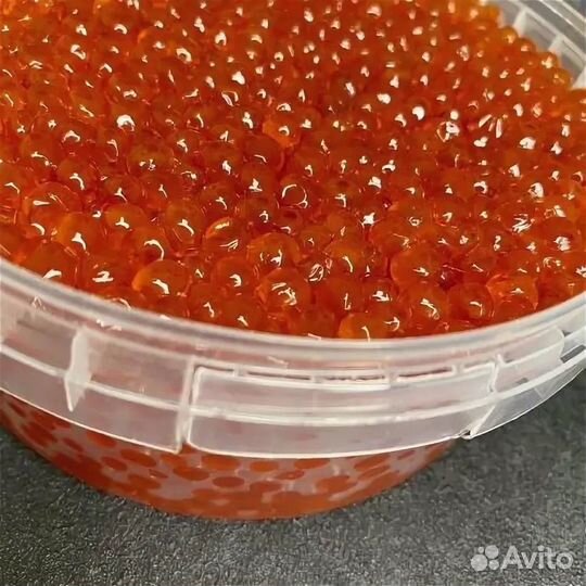 Красная икра 2024