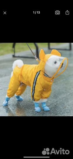 Дождевик для собаки + сапожки