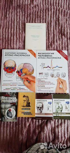Карточки, атласы по анатомии человека