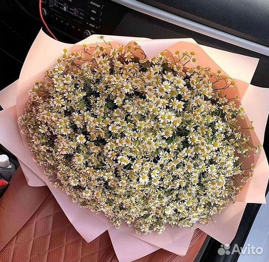 Ромашки Букет из ромашек доставка