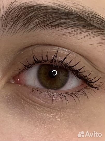 Коррекция,окрашивание,ламинирование бровей/ресниц