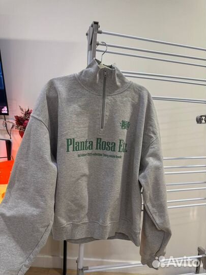 Planta rosa анорак