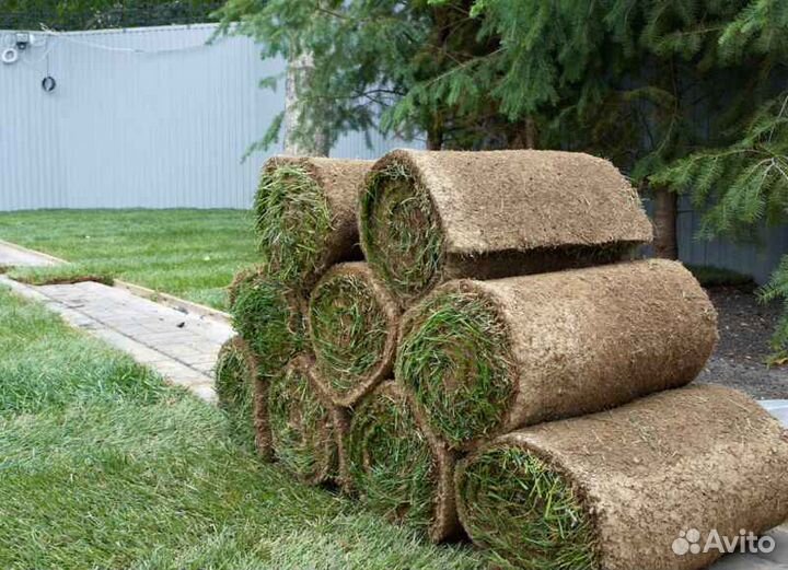 Укладка и продажа газона