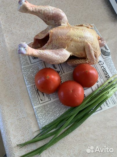 Деревенские яйца, Домашний бройлер