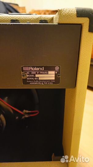 Roland Blues cub USA