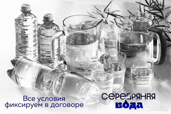 Серебряная вода: успех с первых дней