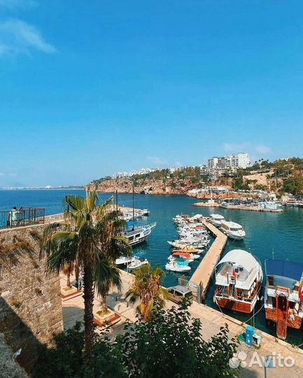 Турция из Омска