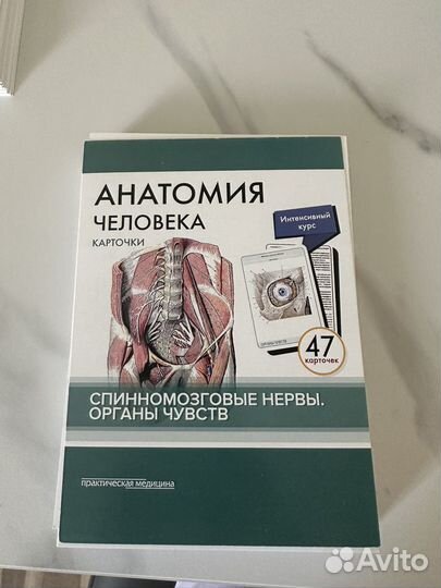Карточки по анатомии см Нервы