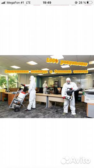 Уничтожение клопов обработка тараканов дезинсекция