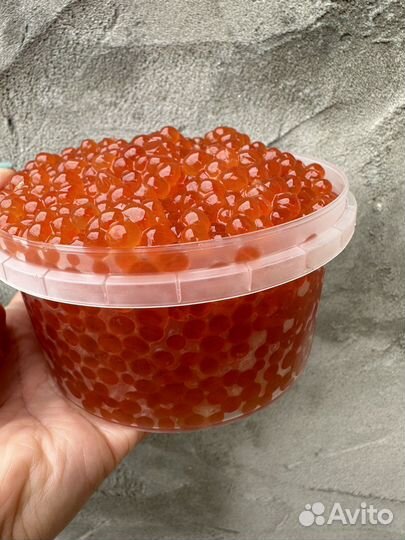 Красная икра 2023