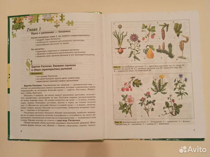 Учебник по биологии 6 класс