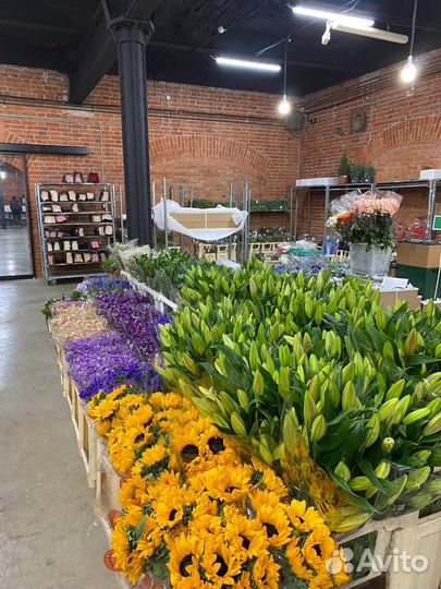 Цветы Оптом