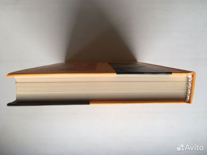 Звездун (Эндрю Холмс)