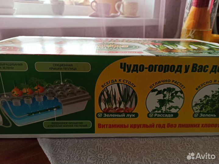 Чудо-грядка
