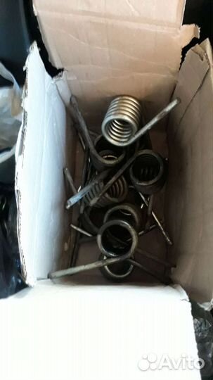 Бусеницы буран