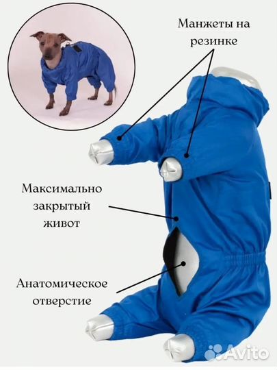 Новый комбинезон для маленькой собаки мальчик