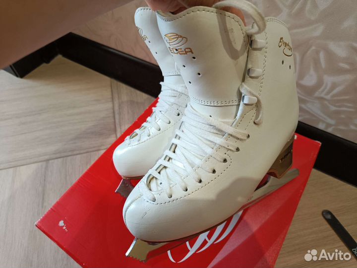 Коньки Edea Overture 230