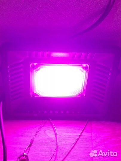 Фитолампа 40 w