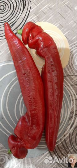 Семена перца Палермо