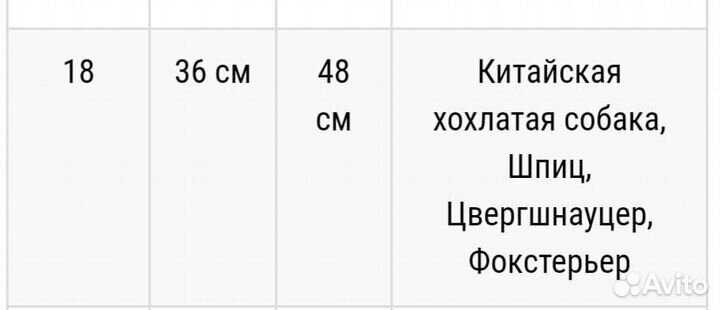 Одежда для собак