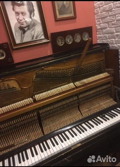 Настройка пианино, Санкт-Петербург и область